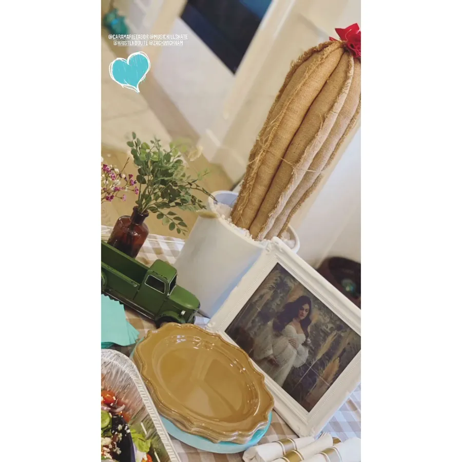 Darling Details Inside Pregnant Brittany Cartwright Baby Shower