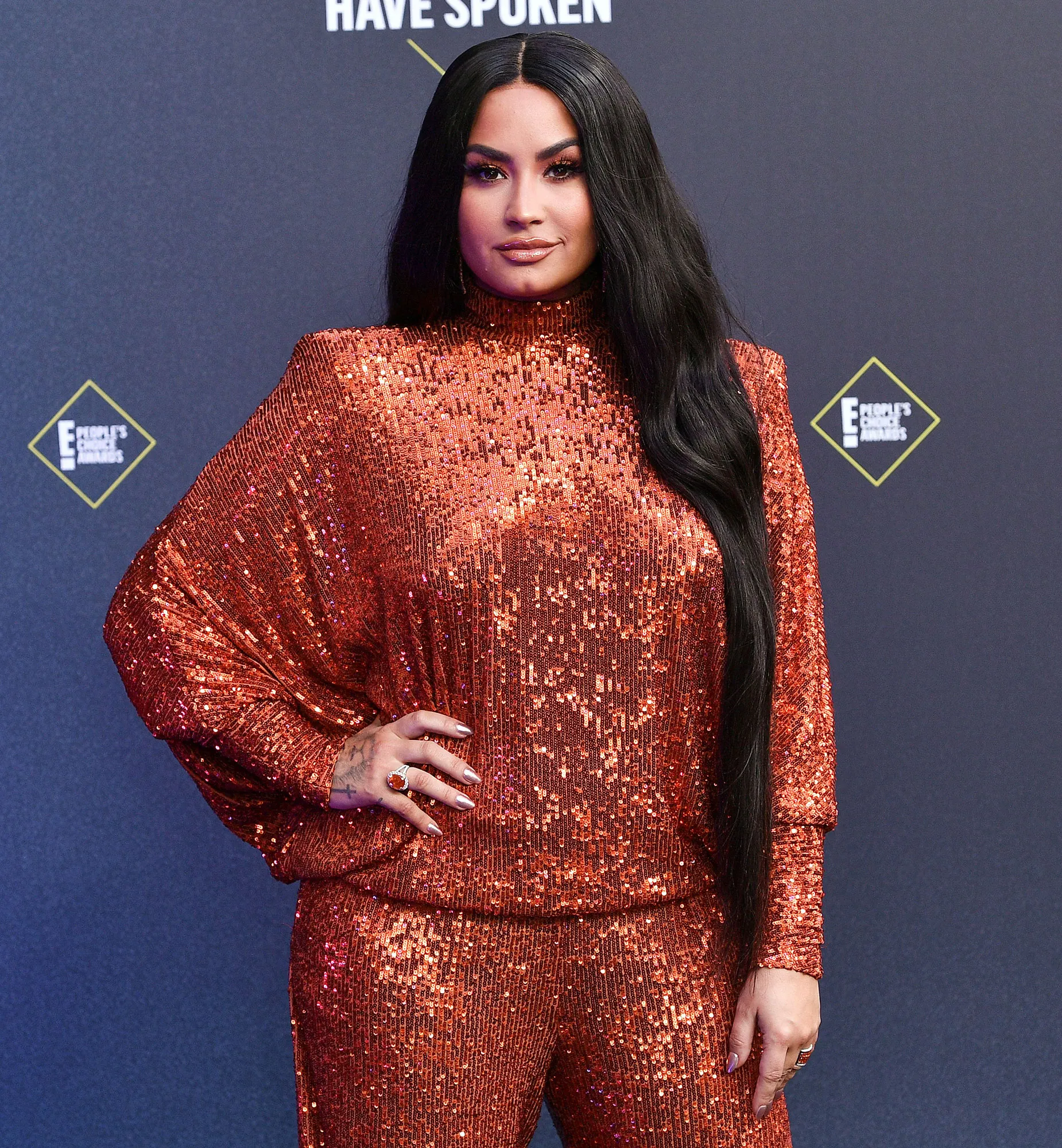 Demi Lovato Says She Wants to Adopt