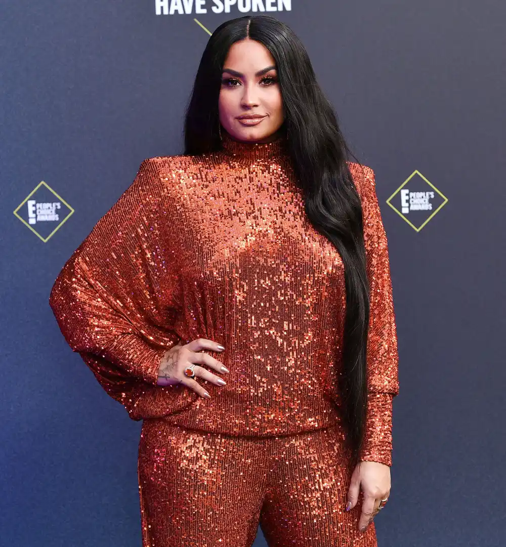 Demi Lovato Says She Wants to Adopt