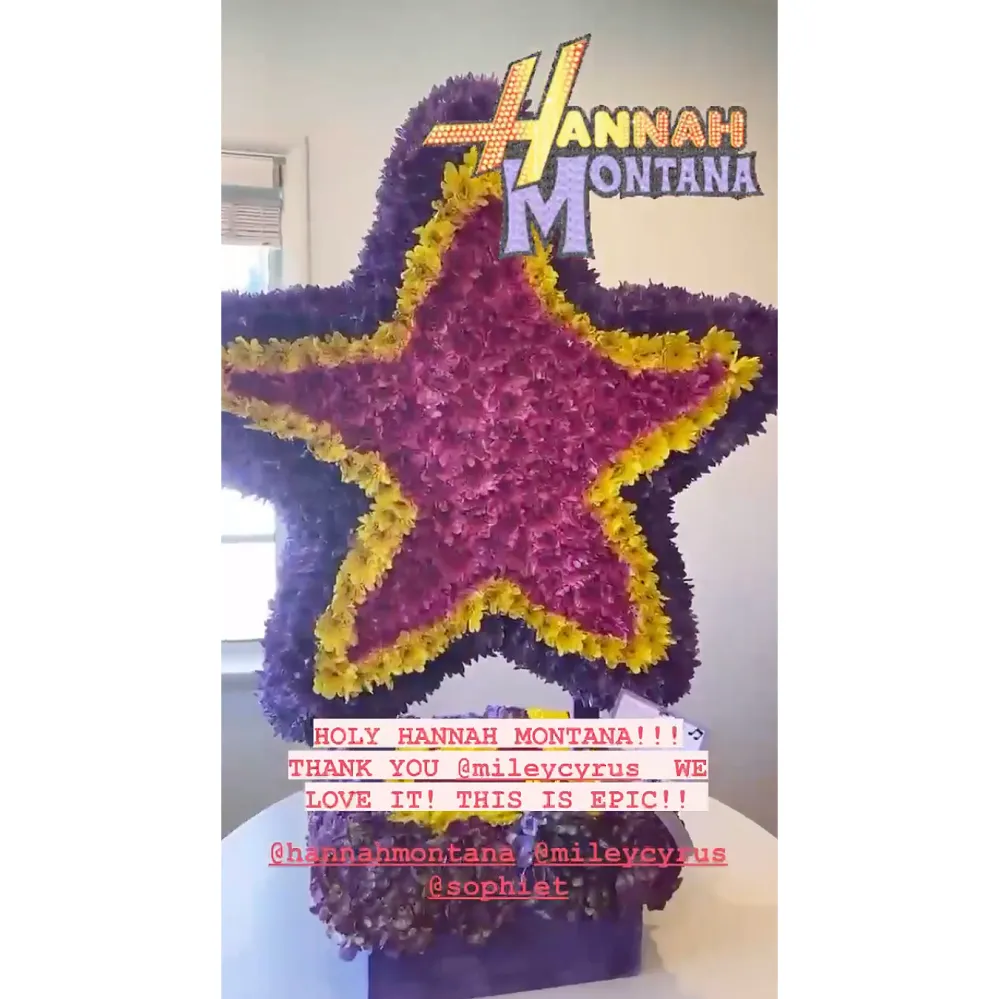 Did Joe Jonas and Sophie Turner Name Their Daughter After Hannah Montana