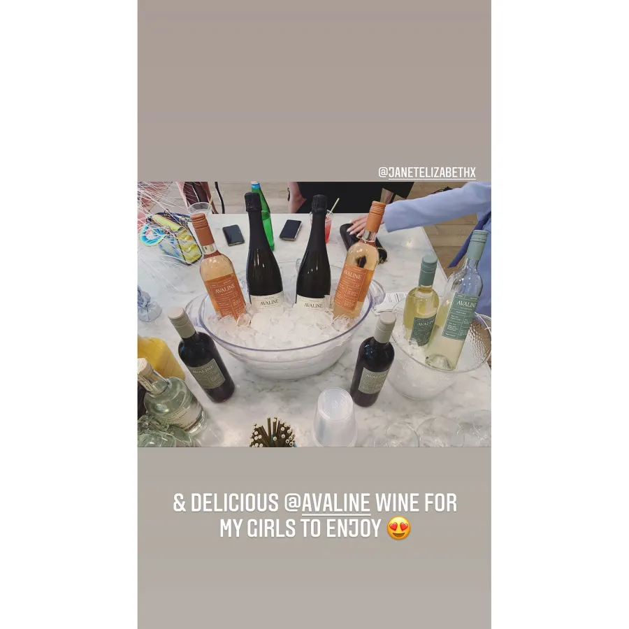 Drink Up Inside Pregnant Brittany Cartwright Baby Shower