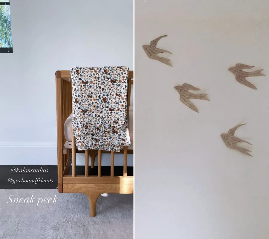 Inside Ashley Tisdale and More Celebrity Parents Unique Nurseries