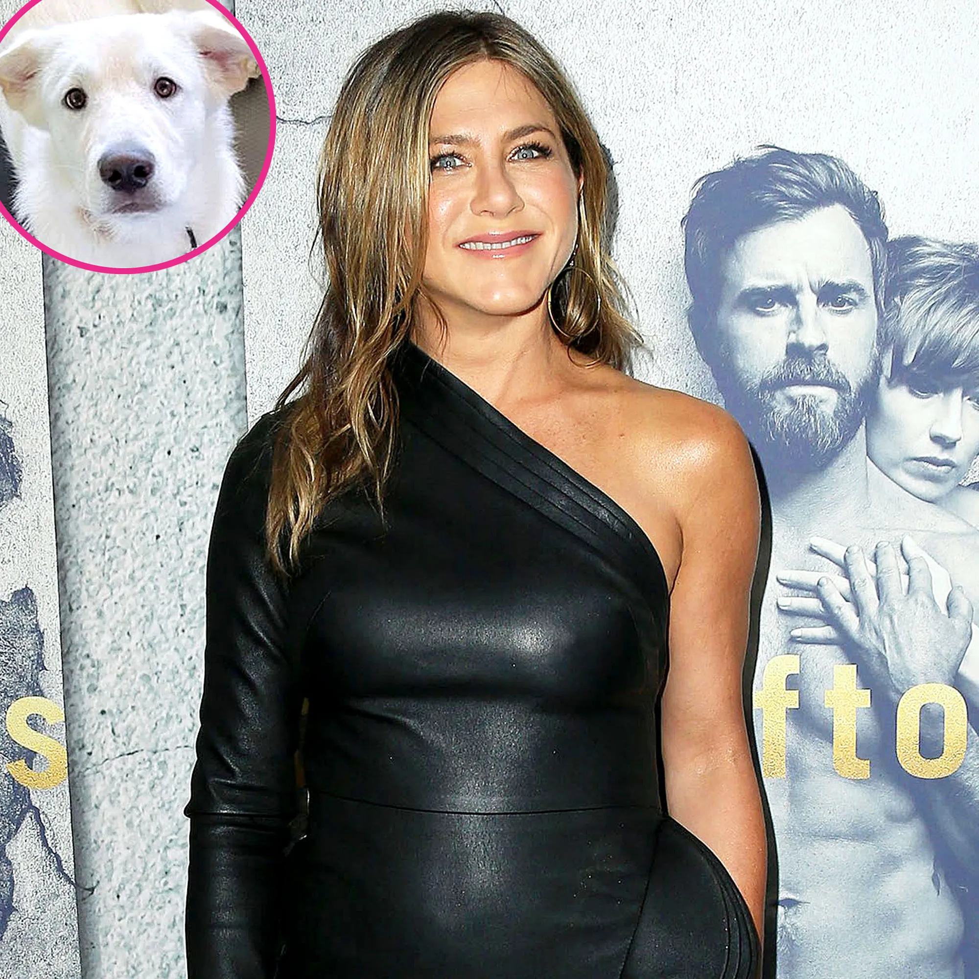Jennifer Aniston Works Out With Her Dog Lord Chesterfield