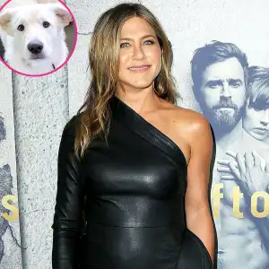 Jennifer Aniston Works Out With Her Dog Lord Chesterfield