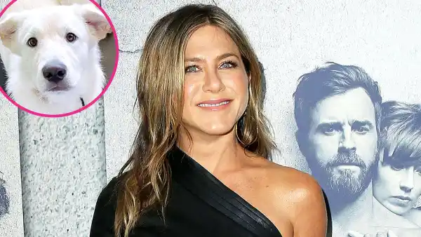 Jennifer Aniston Works Out With Her Dog Lord Chesterfield