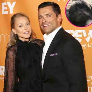 Kelly Ripa and Mark Consuelos Adopt a Second Rescue Dog Named Lena p