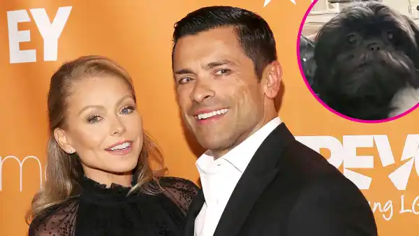 Kelly Ripa and Mark Consuelos Adopt a Second Rescue Dog Named Lena p