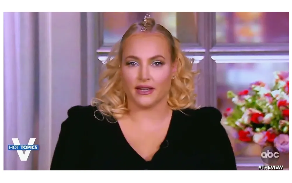 Meghan McCain Claps Back Critics Her Comments About Representation