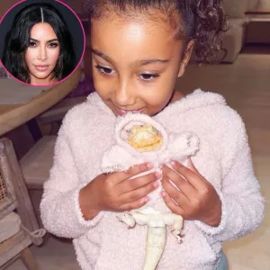 North Wests Lizard Rocks Her Mom Kim Kardashians Skims Merchandise