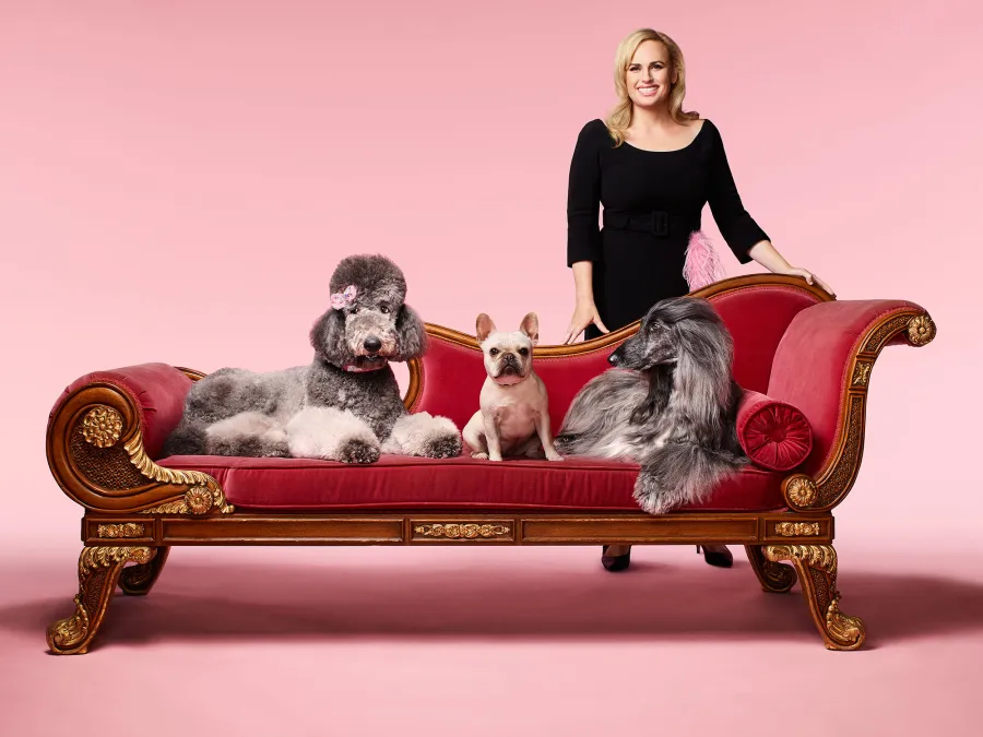 Pooch PerfectSpring TV Preview 2021