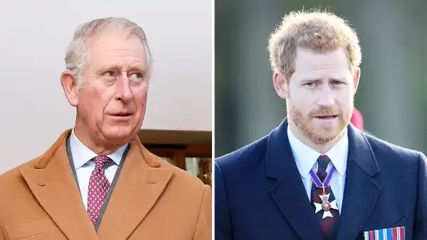 Prince Charles Doesnt Agree With Prince Harry Trashing Royal Family
