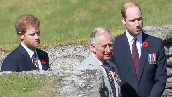 Prince Harry Has Spoken to Prince Charles and Prince William