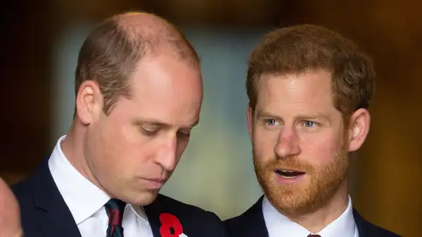 Prince Harry Tried to Help Prince William From Being Trapped as a Royal