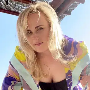 Rebel Wilson Injures Her Leg After Incident With Unleashed Dog