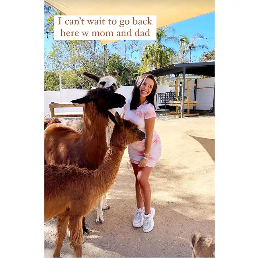 Scheana Shay Baby Bump Pics Llama Lover