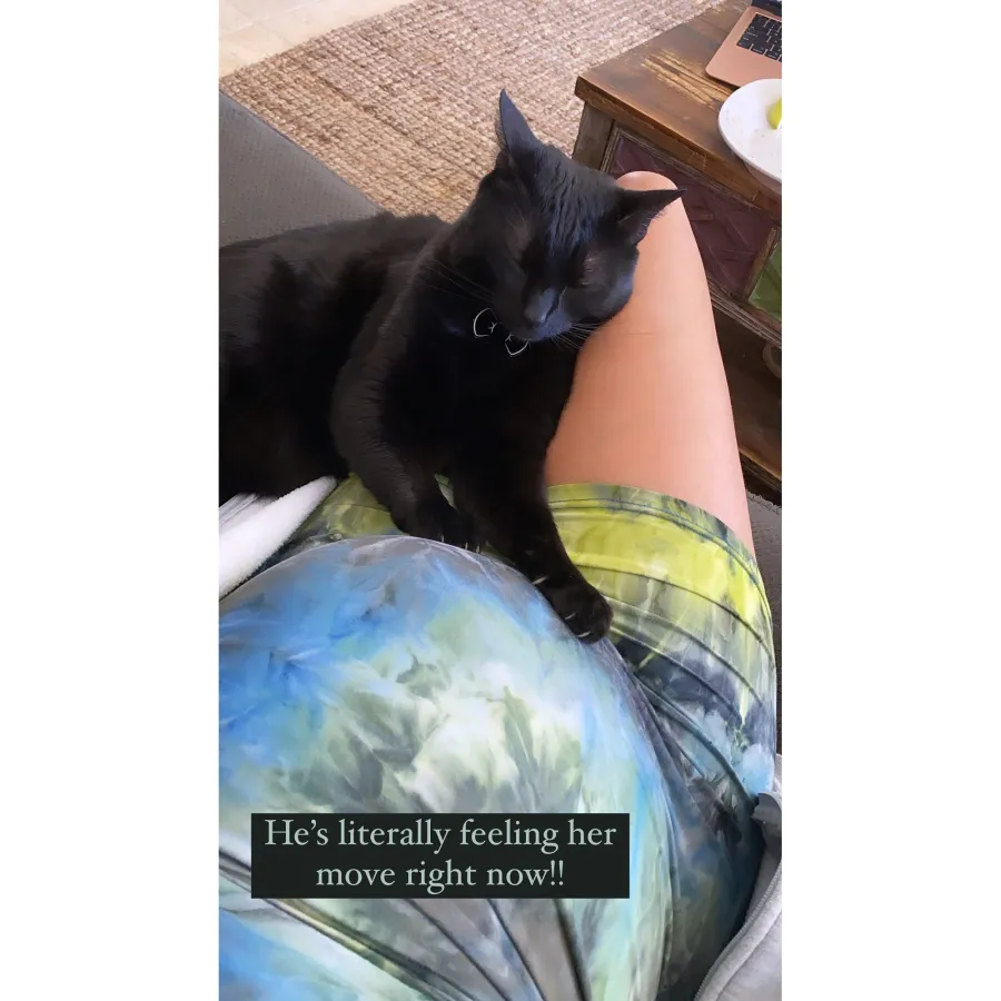 Scheana Shay Pregnant Cat