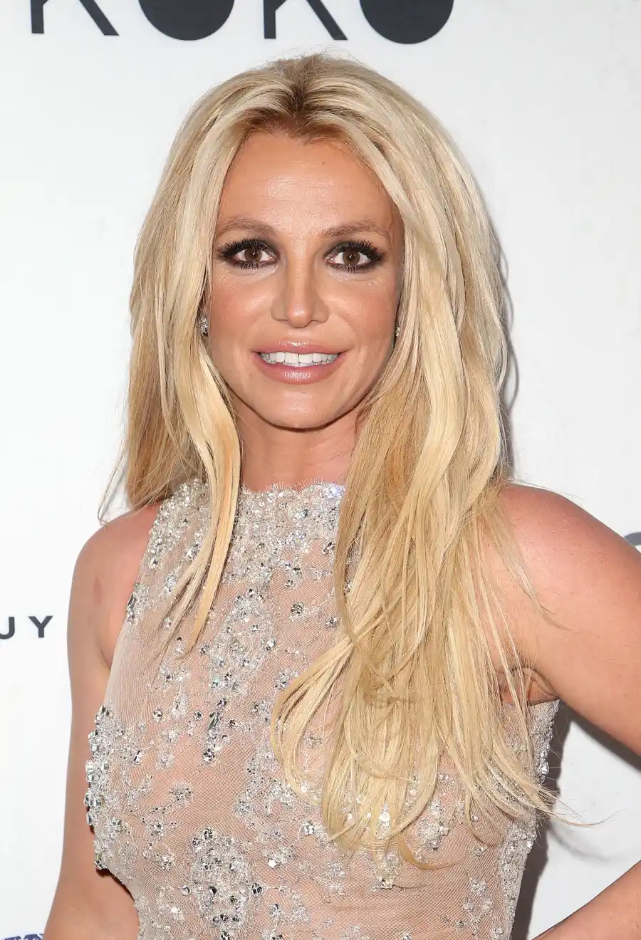 She Specializes in Conservatorships Who Is Jodi Montgomery 5 Things to Know About the Woman Britney Spears Wants as Her Conservator