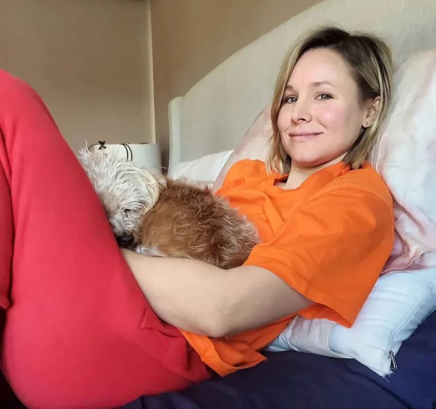 Stars Who Are Adopting or Fostering Pets During Quarantine