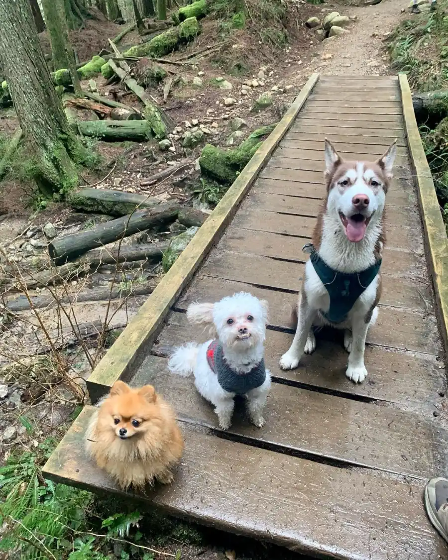 The Riverdale Cast Goes Hiking
