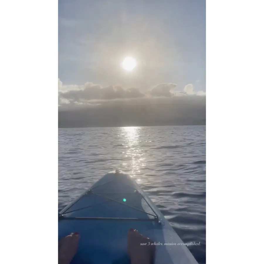 Whale Watching Inside Pregnant Lauren Burnham and Arie Luyendyk Jr.’s Hawaii Babymoon Ahead of Twins Births