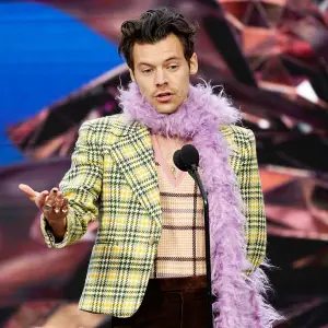 Why Harry Styles Grammys Acceptance Speech Was Bleeped Out