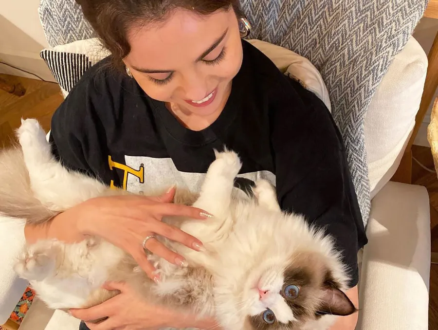 Why Taylor Swift Fans Think Selena Gomez, Katy Perry Collabs Are Coming Soon