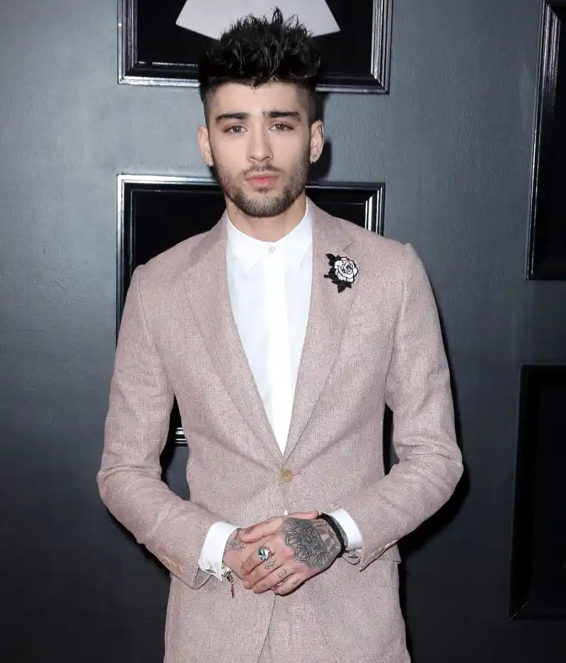 Zayn Malik Thinks Former One Direction Bandmate Niall Horan Makes Better Music Than Him
