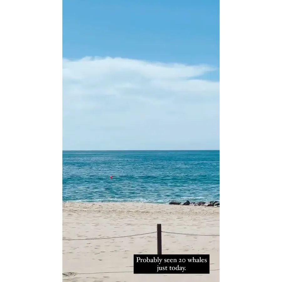 pregnant-shawn-johnson-andrew-easts-beach-babymoon-pics 4