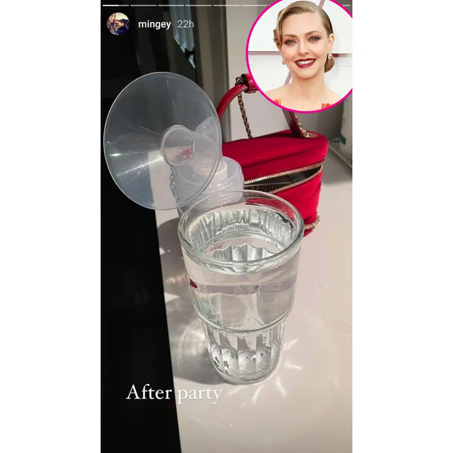 Amanda Seyfried Pumping Breast Milk
