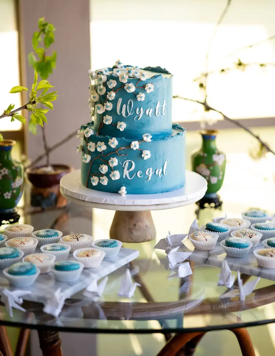 Jason Wahler and Ashley Wahler's Baby Shower