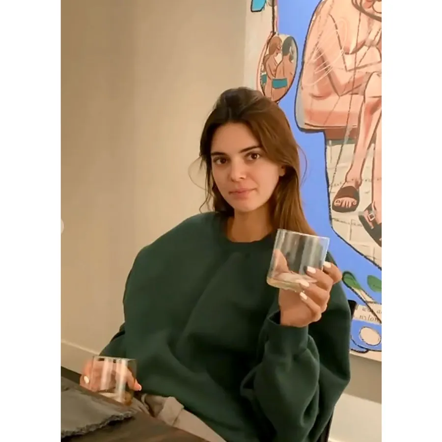 Kendall Jenner Celebrities With Super Successful Alcohol Brands