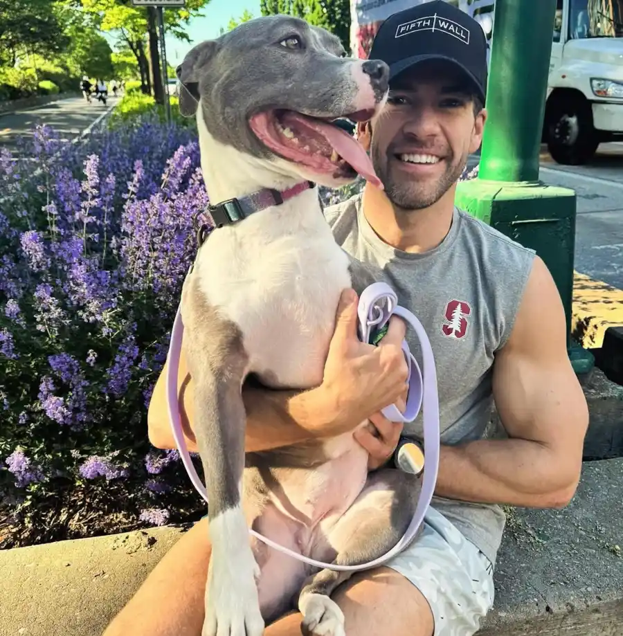 Emma Watsons Complete Dating History Prince Harry and More