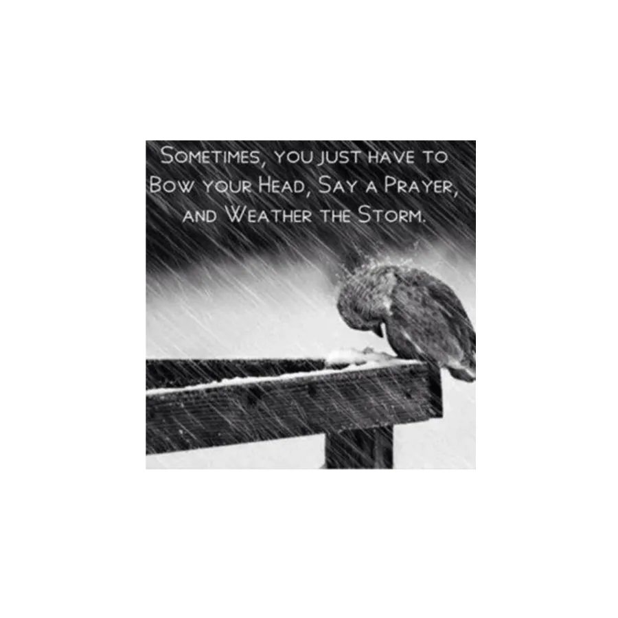 Cryptic Quotes Jana Kramer and Mike Caussin Divorce Everything We Know