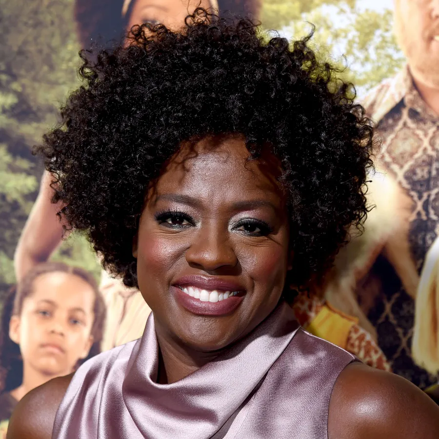 Viola Davis DMX Dead 50 Celebrities Pay Tribute Rapper