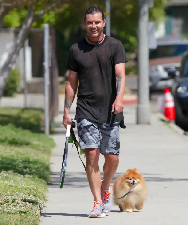 Gavin Rossdale Just Like Us They Walk Their Dogs