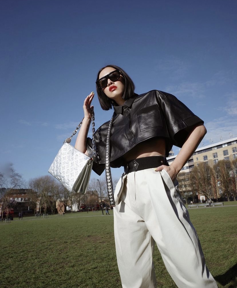 Louis Vuitton Coussin