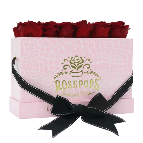 Mom's Crocodile Keeper by the Dozen