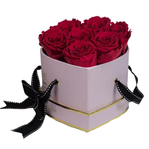 Mom's Midi but Mighty