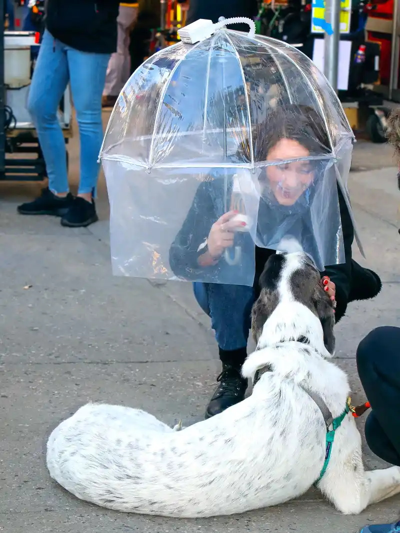 Rachel Brosnahan They Play With Dogs Just Like Us