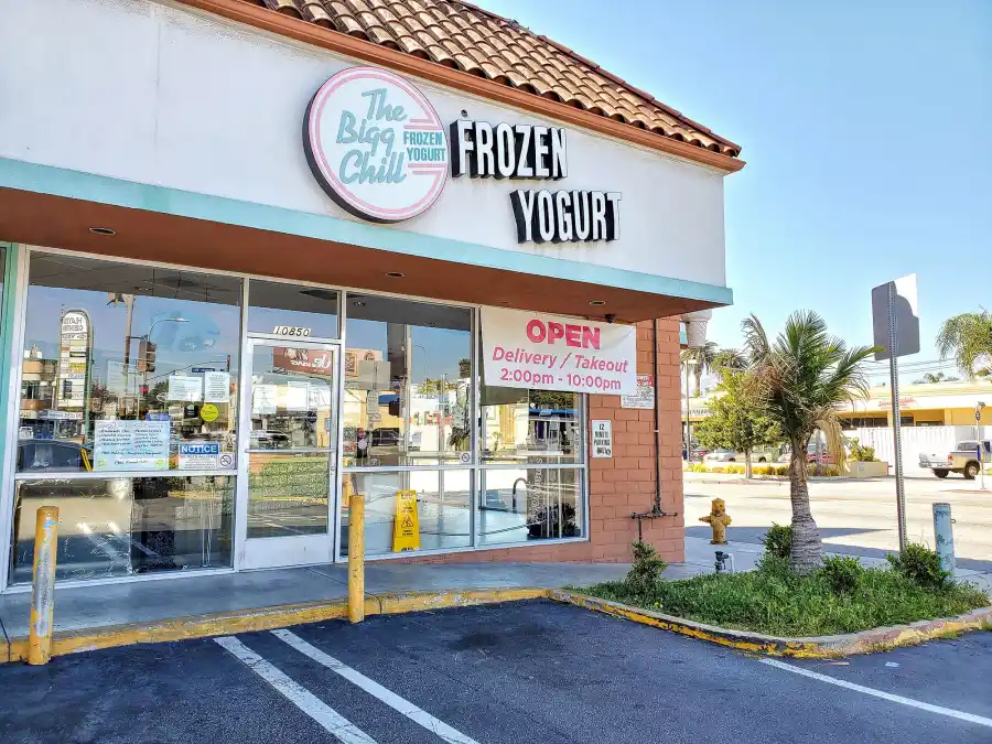 The Bigg Chill Reacts Demi Lovato Frozen Yogurt Controversy