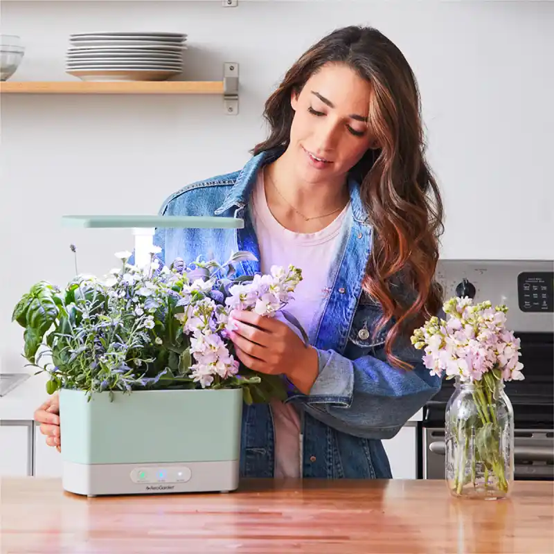 aly-raisman-aerogarden1