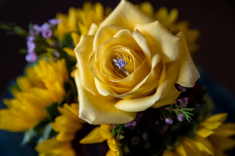 90 Day Fiance’s Colt and Vanessa Get Engaged on ‘The Single Life’ — See the Exclusive Photos!