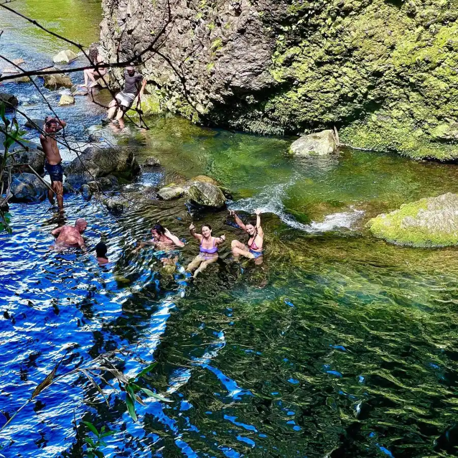 Aaron Rodgers and Shailene’s Maui Getaway With Friends