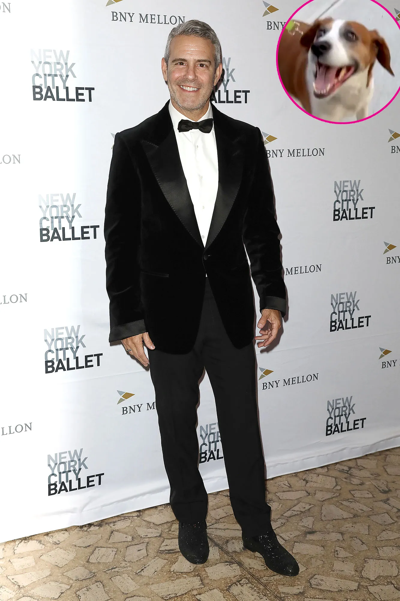 Andy Cohen Reunites With Dog Wacha 1 Year After Rehoming