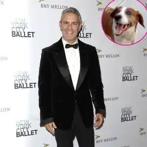 Andy Cohen Reunites With Dog Wacha 1 Year After Rehoming