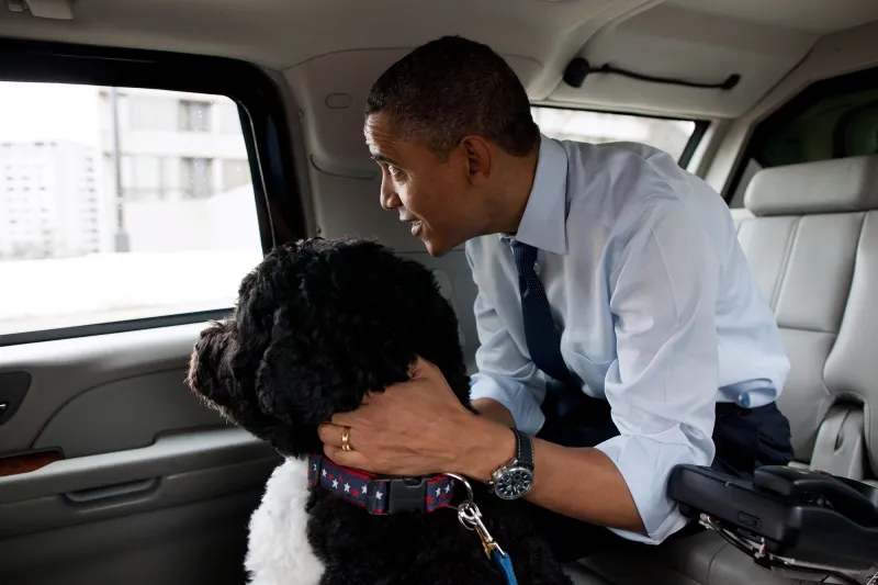 Barack Obama Mourns Dog Bo’s Death: ‘Our Family Lost a True Friend’