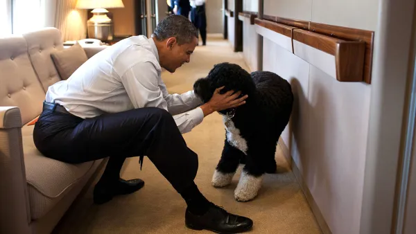 Barack Obama Mourns Dog Bo’s Death: ‘Our Family Lost a True Friend’