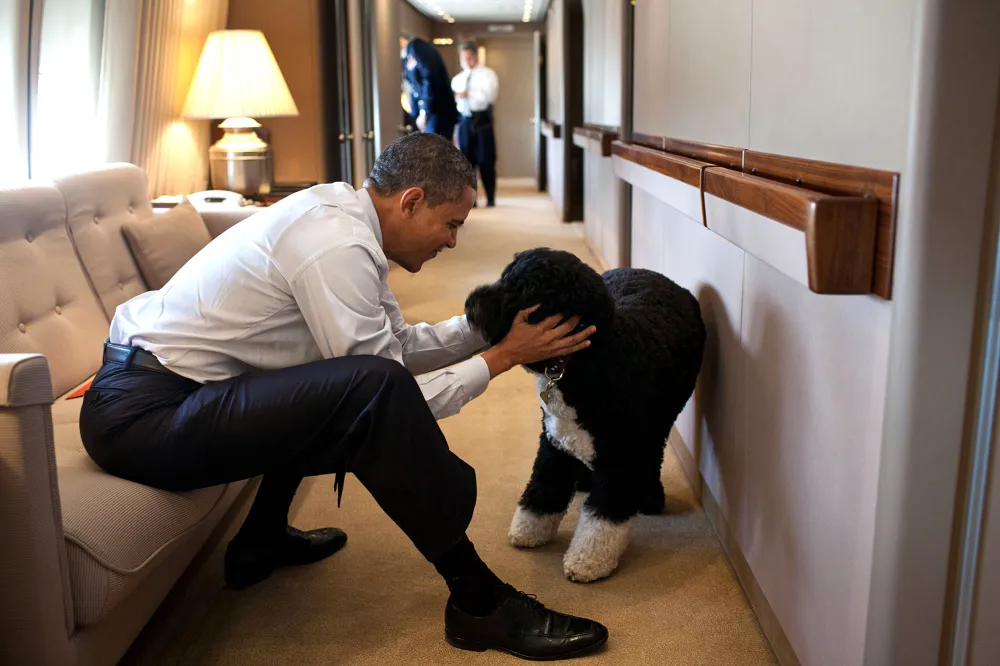 Barack Obama Mourns Dog Bo&rsquo;s Death: &lsquo;Our Family Lost a True Friend&rsquo;