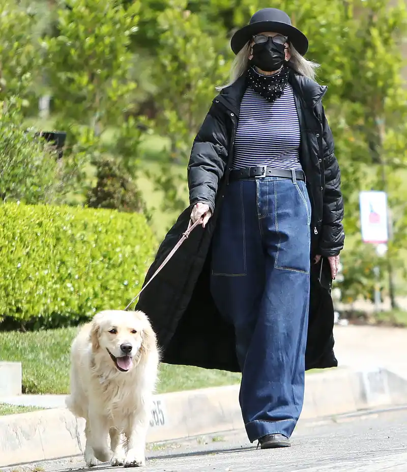 Diane Keaton They Walk Dogs Just Like Us