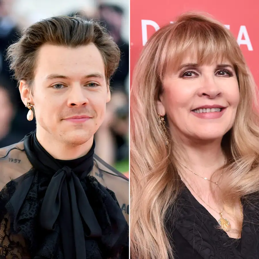 Harry Styles' Friendship With Stevie Nicks: A Complete History